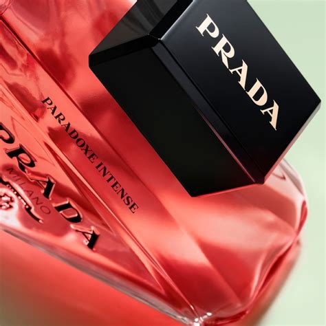 prada paradoxe intense notes